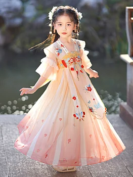 Hanfu בנות הקיץ העתיקה להתלבש נערת קיץ של הסגנון העתיק Tangzhuang להתלבש נערת קיץ שמלת נסיכה סינית השמלה